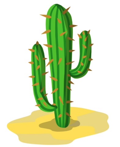 Cactus Digital